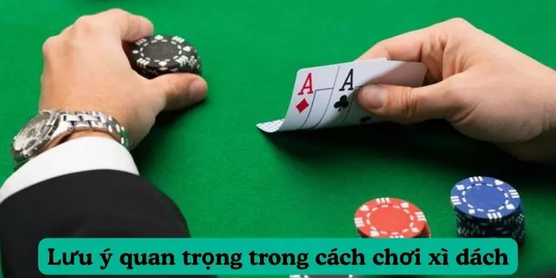 Lưu ý quan trọng trong cách chơi xì dách