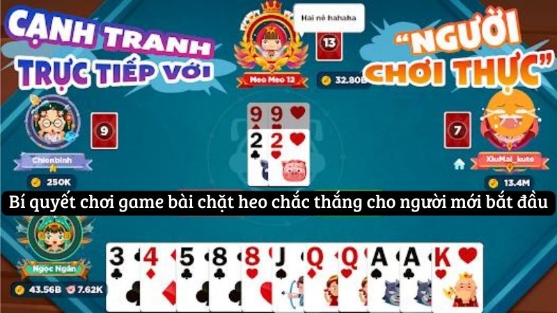 Bí quyết chơi game bài chặt heo chắc thắng cho người mới bắt đầu